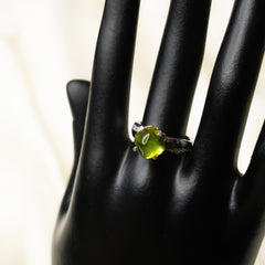 The Dew Drop